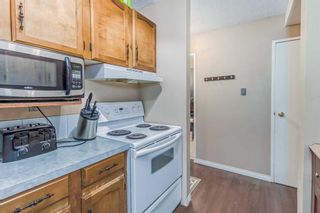 Photo 24: 513 8948 Elbow Drive SW in Calgary: Haysboro Apartment for sale : MLS®# A2106950