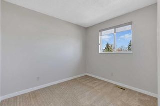 Photo 32: 120 Martinbrook Road NE in Calgary: Martindale Detached for sale : MLS®# A2130953
