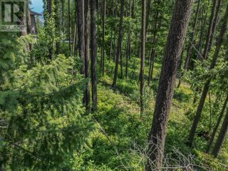 Photo 21: Lot 25 Forest View Place in Blind Bay: Vacant Land for sale : MLS®# 10278634