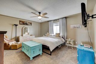 Photo 16: 234 Canoe Square SW: Airdrie Detached for sale : MLS®# A2123343