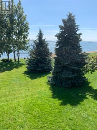 Photo 42: 46 Blue Heron  Bay in Lake Newell Resort: Condo for sale : MLS®# A2019504