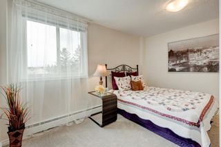 Photo 18: 42 528 Cedar Crescent SW in Calgary: Spruce Cliff Apartment for sale : MLS®# A1191210