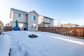 Photo 9: 155 Cranwell Green SE in Calgary: Cranston Detached for sale : MLS®# A2033280