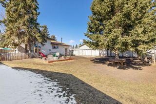 Photo 32: 19 Mcalpine Place: Carstairs Detached for sale : MLS®# A1203167
