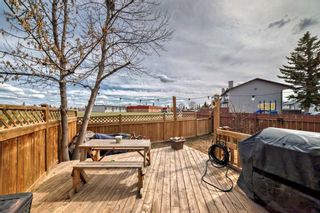 Photo 33: 34 131 Templehill Drive NE in Calgary: Temple Row/Townhouse for sale : MLS®# A2128849