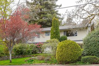 Photo 3: 3557 Redwood Ave in Oak Bay: OB Henderson House for sale : MLS®# 959514