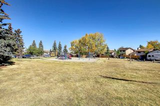 Photo 49: 24 Bermuda Court NW in Calgary: Beddington Heights Detached for sale : MLS®# A1259648