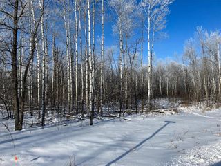 Photo 4: 15 Poplar Street in Roseau River: Vacant Land for sale : MLS®# 202401065