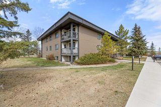 Photo 20: 224 6108 53 Street: Olds Apartment for sale : MLS®# A2127287
