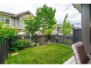 Photo 19: 40 4967 220 Street in Langley: Murrayville Townhouse for sale in "Winchester" : MLS®# R2393390