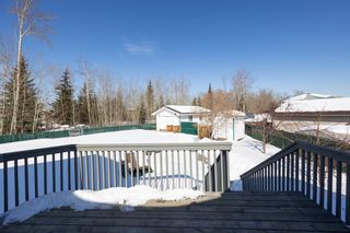 Photo 26: 166 Mcdougall Crescent: Fort McMurray Detached for sale : MLS®# A2035045
