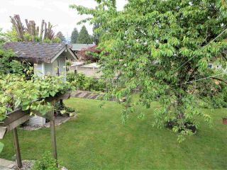 Photo 12: 1761 LANGAN Avenue in Port Coquitlam: Central Pt Coquitlam House for sale : MLS®# R2269766