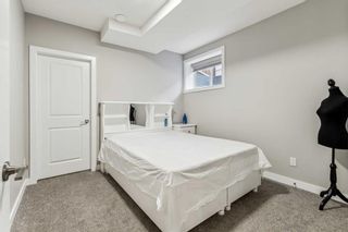 Photo 43: 236 Red Sky Terrace NE in Calgary: Redstone Detached for sale : MLS®# A2125780