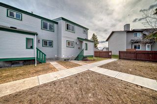 Photo 36: 34 131 Templehill Drive NE in Calgary: Temple Row/Townhouse for sale : MLS®# A2128849