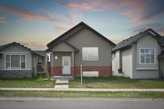 Photo 1: 205 Taracove Road NE in Calgary: Taradale Detached for sale : MLS®# A2055076