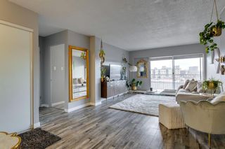 Photo 9: 6C 515 17 Avenue SW in Calgary: Cliff Bungalow Apartment for sale : MLS®# A2026276