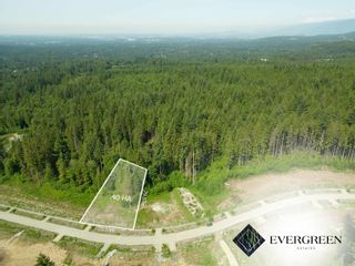 Main Photo: 12535 271 Street in Maple Ridge: Northeast Land for sale in "EVERGREEN ESTATES" : MLS®# R2866605