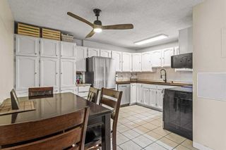 Photo 10: 6 124 Beaver Street: Banff Apartment for sale : MLS®# A2123759