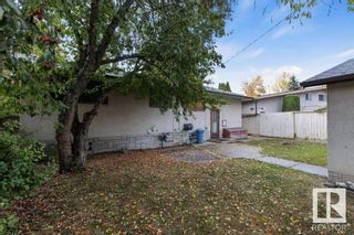 Photo 21: 11203 49 Avenue in Edmonton: Zone 15 House for sale : MLS®# E4316705
