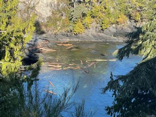 Photo 6: LOT 12 Marine Dr in Ucluelet: PA Ucluelet Land for sale (Port Alberni)  : MLS®# 947210