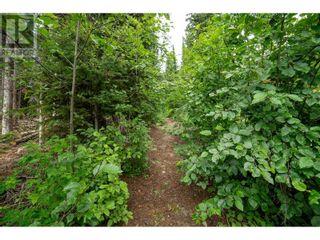 Photo 7: 145 COUGAR Road in Oliver: Vacant Land for sale : MLS®# 200537