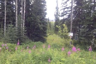 Photo 25: LOT 21 BRAYANSTON Drive in Smithers: South Francois Land for sale (Burns Lake)  : MLS®# R2710049
