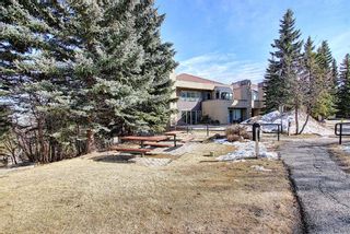 Photo 31: 6 210 Village Terrace SW in Calgary: Patterson Apartment for sale : MLS®# A1220712
