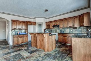 Photo 13: 36 ROYAL HIGHLAND Court NW in Calgary: Royal Oak Detached for sale : MLS®# A1029258