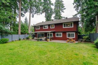 Photo 19: 20438 93A AVENUE in Langley: Walnut Grove House for sale : MLS®# R2388855
