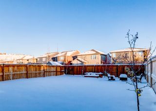 Photo 46: 40 CRANBROOK Circle SE in Calgary: Cranston Detached for sale : MLS®# A2006840