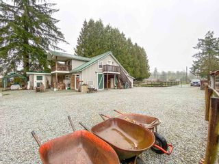 Photo 25: 13031 224 Street in Maple Ridge: West Central House for sale : MLS®# R2667301