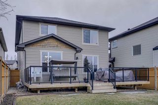 Photo 10: 795 Auburn Bay Heights SE in Calgary: Auburn Bay Detached for sale : MLS®# A2122912