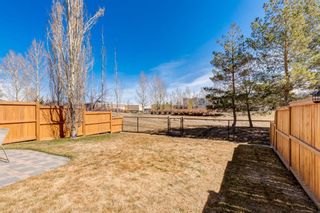 Photo 32: 263 Silverado Plains Close SW in Calgary: Silverado Detached for sale : MLS®# A2123792