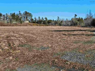 Photo 2: 5180 HIGHWAY 4 in Alma: 108-Rural Pictou County Vacant Land for sale (Northern Region)  : MLS®# 202406624
