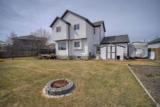 Photo 45: 16 Crilly Close NE: Langdon Detached for sale : MLS®# A2042393