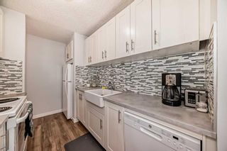 Photo 5: 2 645 Meredith Road NE in Calgary: Bridgeland/Riverside Apartment for sale : MLS®# A2130538