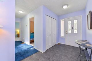 Photo 3: 767 Haliburton Rd in VICTORIA: SE Cordova Bay House for sale (Saanich East)  : MLS®# 773451
