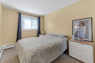 Photo 9: 307 60 38A Avenue SW in Calgary: Parkhill Apartment for sale : MLS®# A2119005