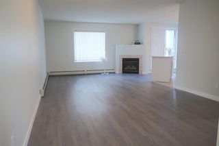 Photo 7: 105 4105 Valleyview Park SE in Calgary: Dover Apartment for sale : MLS®# A1244453