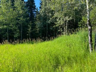 Photo 8: Lot 1 South of Jamieson Road in Rural Bighorn No. 8, M.D. of: Rural Bighorn M.D. Residential Land for sale : MLS®# A1243656