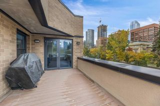 Photo 12: 203 303 13 Avenue SW in Calgary: Beltline Apartment for sale : MLS®# A2118767