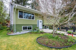 Photo 43: 1701 Dogwood Ave in Comox: CV Comox (Town of) House for sale (Comox Valley)  : MLS®# 962728