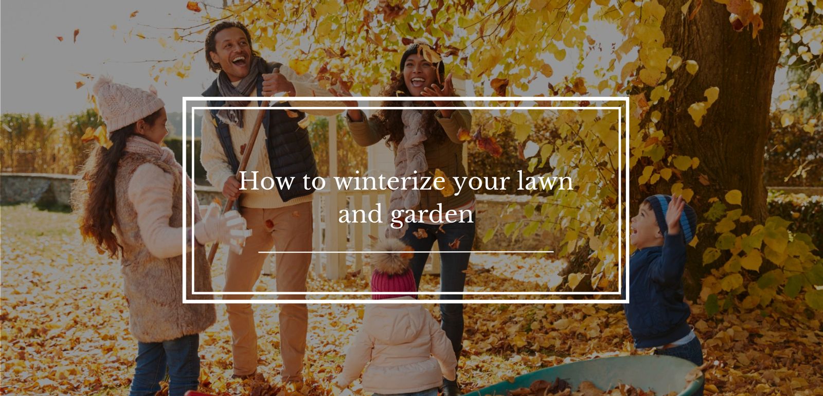 How to winterize your lawn and garden