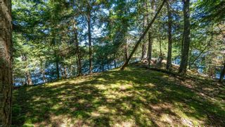 Photo 30: 16 Bigwin Island in Lake of Bays: House (Other) for sale : MLS®# X5727797