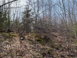 Photo 11: Lot 14 Lakeside Drive in Little Harbour: 108-Rural Pictou County Vacant Land for sale (Northern Region)  : MLS®# 202125547