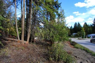Photo 18: Lot 43 Centennial Drive in Blind Bay: Land Only for sale : MLS®# 10241144