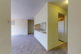 Photo 20: 341 200 Richard Street: Fort McMurray Apartment for sale : MLS®# A1259256