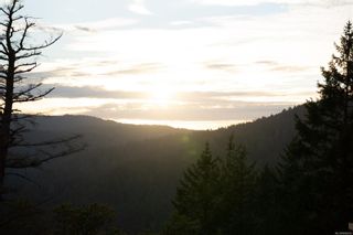 Photo 38: 2038 Pinehurst Terr in Langford: La Bear Mountain Land for sale : MLS®# 886242