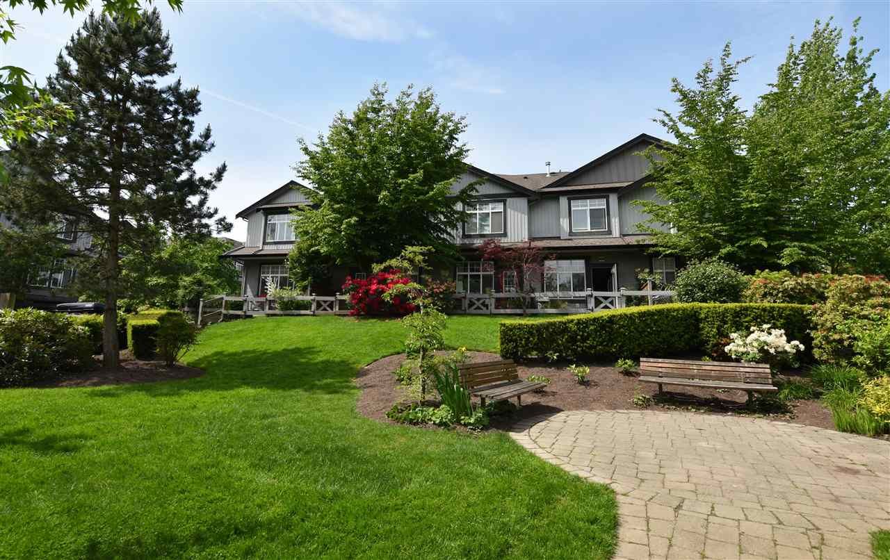 Main Photo: 27 18828 69 Avenue in Surrey: Clayton Townhouse for sale in "STARPOINT" (Cloverdale)  : MLS®# R2065527
