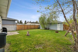 Photo 23: 2029 38 Street SE in Calgary: Forest Lawn Detached for sale : MLS®# A2132965